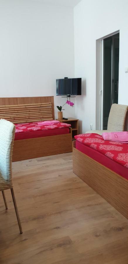 Guest house Haus Baron 1 Neckarau *